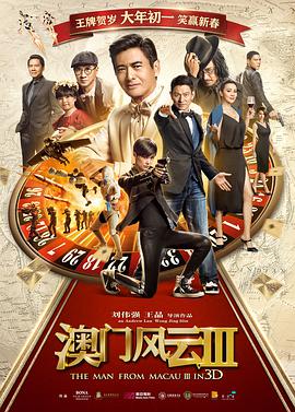 《善良岳母：我爱我的女婿》海报